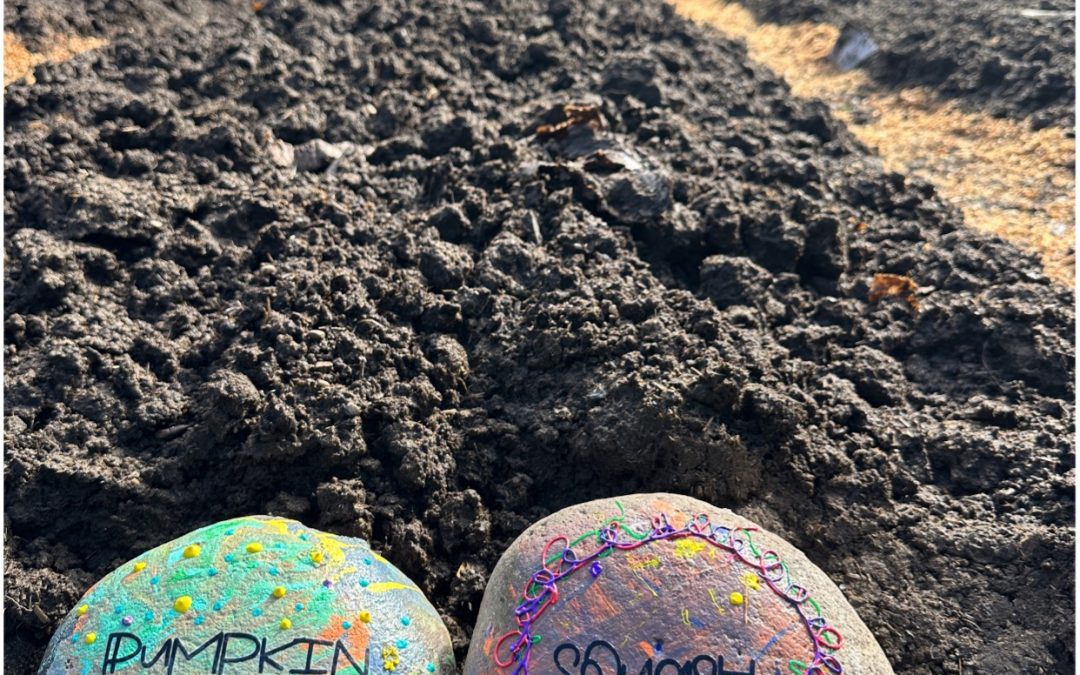 Creative Garden Markers: Transforming Rocks into Art with Family